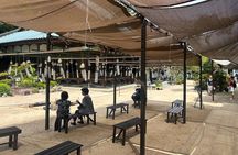 Hiroshima and Miyajima 6 and half Hour Guided Tour