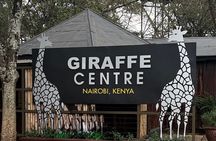 Giraffe Centre and Nairobi National Park Experience Joining Tours