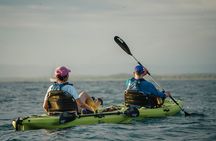 Kayak Tour in Quepos