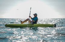 Kayak Tour in Quepos