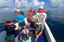 Private Tour in Caño Island