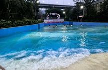 Chongqing Ciqikou Ancient Town and Hot Spring Taxi Tour