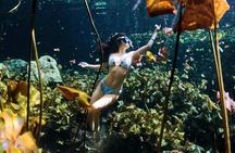 Cenotes Photos Shoot 