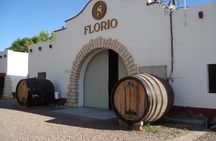 Maipu Wine Tour: 3 Wineries and Olive Oil Factory
