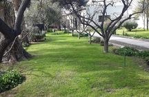 Maipu Wine Tour: 3 Wineries and Olive Oil Factory