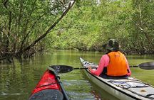 Kayaking Tour - Bay of Paraty & Manguezal