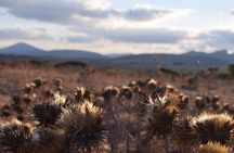 Argentina, Pampas: Gaucho Horseback Ride and Lunch & Transport