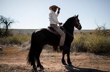 Argentina, Pampas: Gaucho Horseback Ride and Lunch & Transport