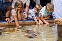 Key West Attractions Pass with Trolley Tour