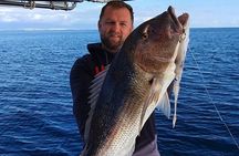 Kotor Private Fishing Adventure Blue Cave And Lunch