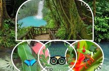 Private Rio Celeste Waterfalls Expedition Costa Rica