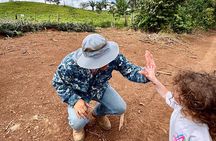 Private Family 4 wheels + Pineapple Farm + River