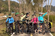 Seoul to Busan Four Rivers Guided Cycling Holiday