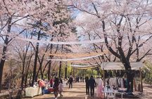 Nami island and Hanbok Wearing and Waterfall from Seoul