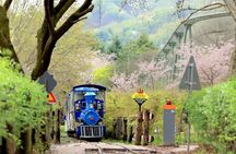 Nami island and Hanbok Wearing and Waterfall from Seoul