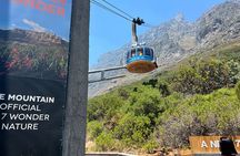 Table Mountain Half-Day Tour with Cable Way Experience