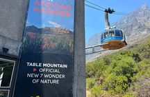 Table Mountain Half-Day Tour with Cable Way Experience