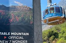 Table Mountain Half-Day Tour with Cable Way Experience