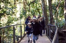 Blue Mountains Half Day Experience with Scenic World and Lookouts