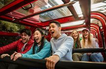 Blue Mountains Half Day Experience with Scenic World and Lookouts