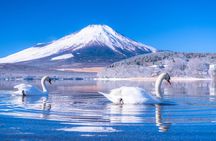One Day Hakone and Mount Fuji Area Tour from Tokyo
