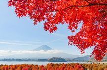 One Day Hakone and Mount Fuji Area Tour from Tokyo