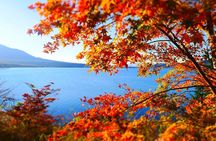 One Day Hakone and Mount Fuji Area Tour from Tokyo