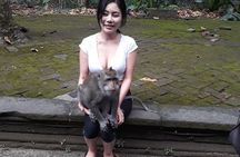 Bali Best of Ubud Countryside Tour All Inclusive