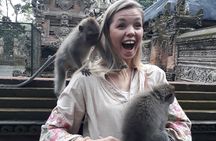 Bali Best of Ubud Countryside Tour All Inclusive