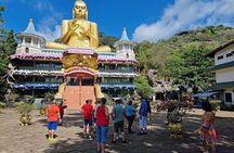 From Kandy: Minneriya Wildlife Safari and Heritage Day Tour