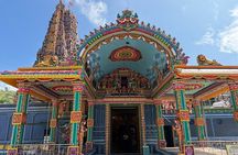 From Kandy: Minneriya Wildlife Safari and Heritage Day Tour