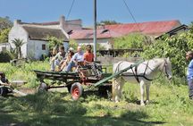 Half-Day Township Tour from Cape Town