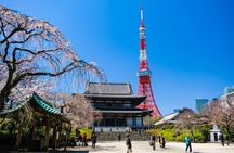 Tokyo Highlights Private Tour with Local Guide 