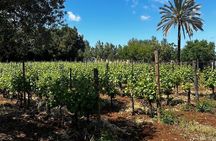 Polignano experience in nature between wine and local flavors