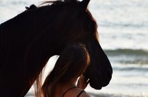 Noordhoek: Private Beach Horseback Riding in Cape Town