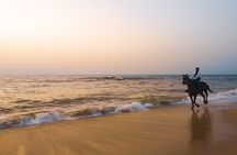 Noordhoek: Private Beach Horseback Riding in Cape Town