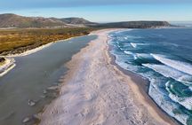 Noordhoek: Private Beach Horseback Riding in Cape Town