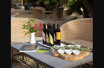 Olive Grove Tour & Oil Tasting at a Historic Mill Near Agrigento