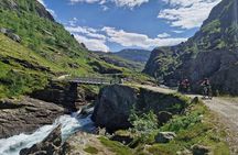 Explore Norway's Mountains (1 Day) by Electric Bicycle + Train