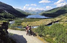 Explore Norway's Mountains (1 Day) by Electric Bicycle + Train
