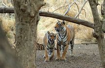 Private 4-Day New Delhi Tour with Transportation by Car