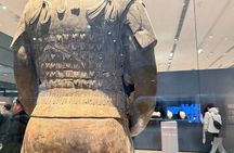 Terracotta Warriors Ticket with Professional English Guide 