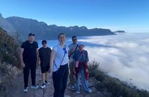 Hike the Hidden Wonders of Table Mountain