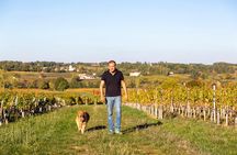 Bordeaux Wine Trails: Saint-Emilion Evening Wine Tour