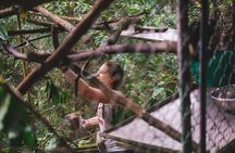 Full Day Volunteer at Wildlife Sanctuary