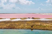 Bonaire Landscapes and Historical Shared Guided Tour 