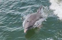 4 Hour Anna Maria Island Snorkeling and Sandbar Tour