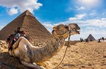 Full day Pyramids of giza&Sphinx & free Camel Ride&Flucca& Lunch