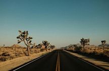 Las Vegas To Los Angeles One Way Tour Joshua Tree National Park