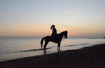 Horse Riding in Side - Horse Tour in Manavgat Forest and Beach
